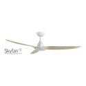 SKYFAN DC